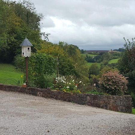 Immaculate 1-Bed Lodge Newton Abbot Torquay Kingskerswell 外观 照片